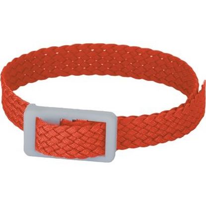 Image de 991129335 Bracelet de piscine