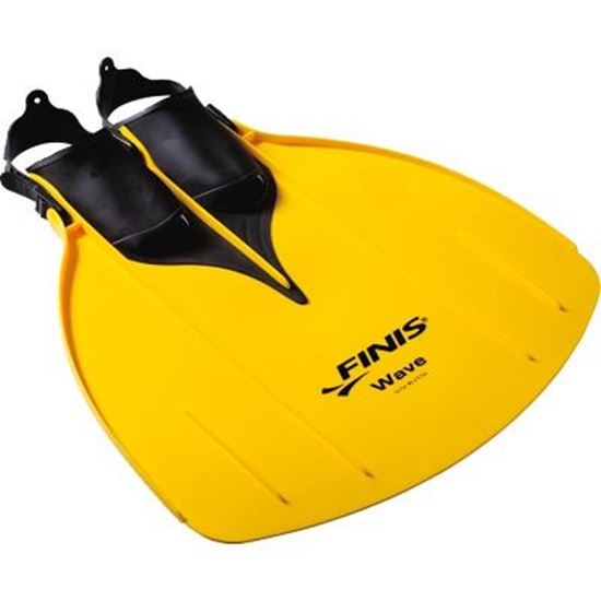 Image sur 991139408 Monopalme Finis