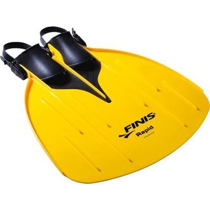 Image de 991139411 Monopalme Finis