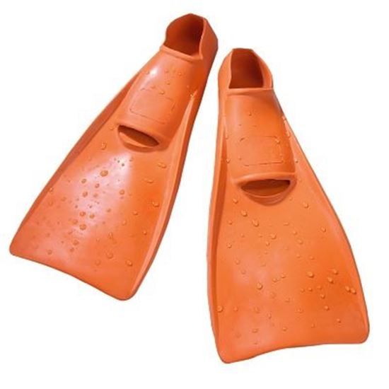 Image sur 991139251 Palmes Sport-Thieme