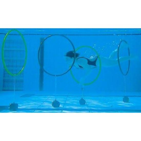Image sur 991126219 Poids pour cerceaux subaquatiques