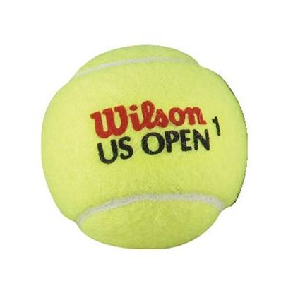 Image de 991377545 Balles Wilson « US Open »