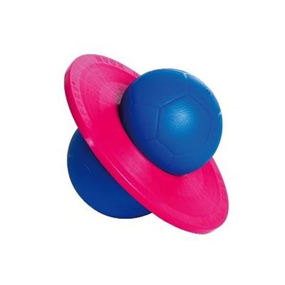 Image de 991326202 Ballon sauteur Moonhopper Togu