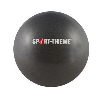 Image de 991491571 Ballon Sport-Thieme Soft