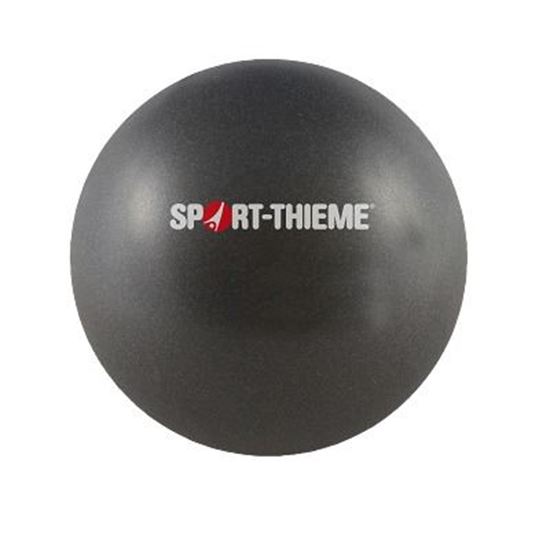 Image sur 991491571 Ballon Sport-Thieme Soft