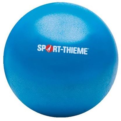 Image de 991491539 Ballon Sport-Thieme Soft