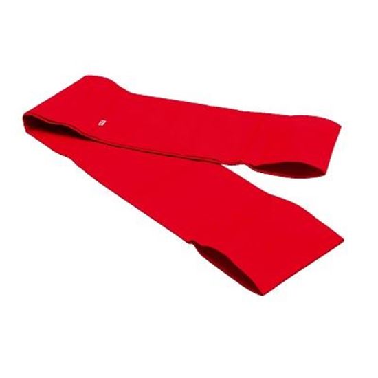 Image sur 991491887 Bande de pilates Sissel