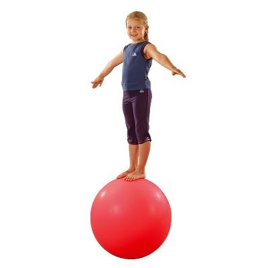 Image sur 991325906 Boule d'équilibre