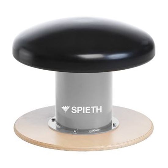 Image sur 991210750 Champignon de gymnastique Spieth