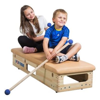 Image de 991217328 Dispositif roulant Sport-Thieme pour haut de plinth