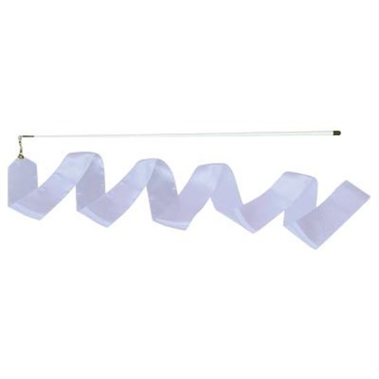 Image sur 991264308 Baguette pour ruban de gymnastique