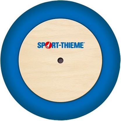 Image de 991243244 Disque Sport-Thieme pour utilisation en intérieur