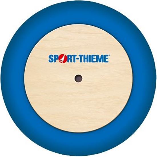 Image sur 991243244 Disque Sport-Thieme pour utilisation en intérieur