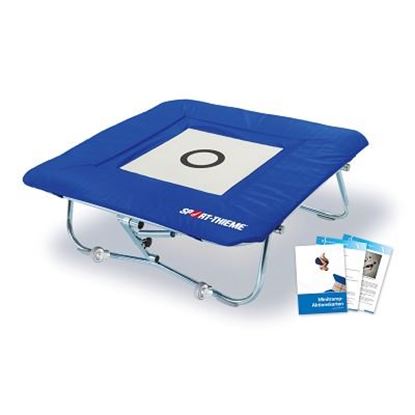 Image de 991228104 Mini-trampoline Sport-Thieme Minitramp avec rembourrage complet intégré