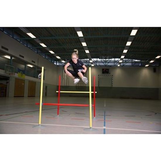 Image sur 991446106 Kit de mini haies Sport-Thieme