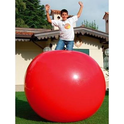 Image de 991358924 Mega-Ball 180 Gymnic