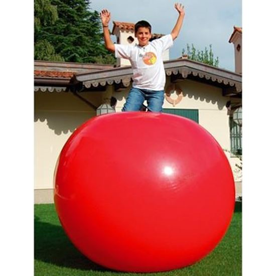 Image sur 991358924 Mega-Ball 180 Gymnic