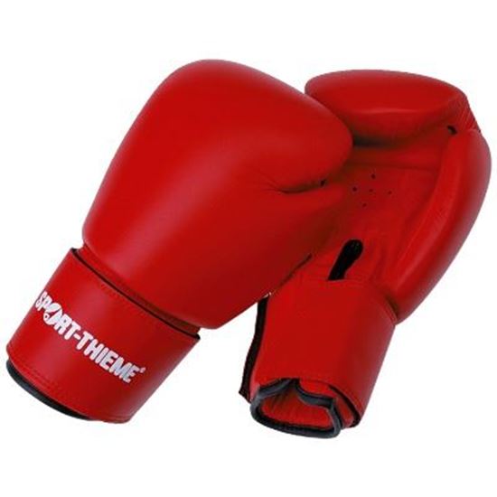 Image sur 991504008 Gants de boxe Sport-Thieme « Workout »