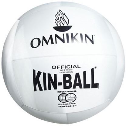 Image de 992543000 Ballon de kin-ball Omnikin