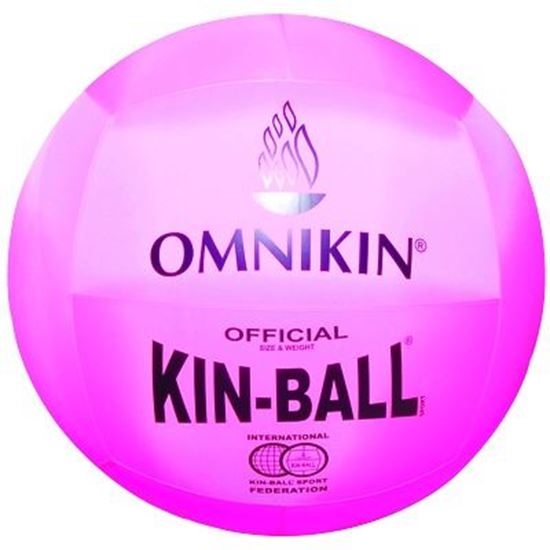 Image sur 992543101 Ballon de kin-ball Omnikin