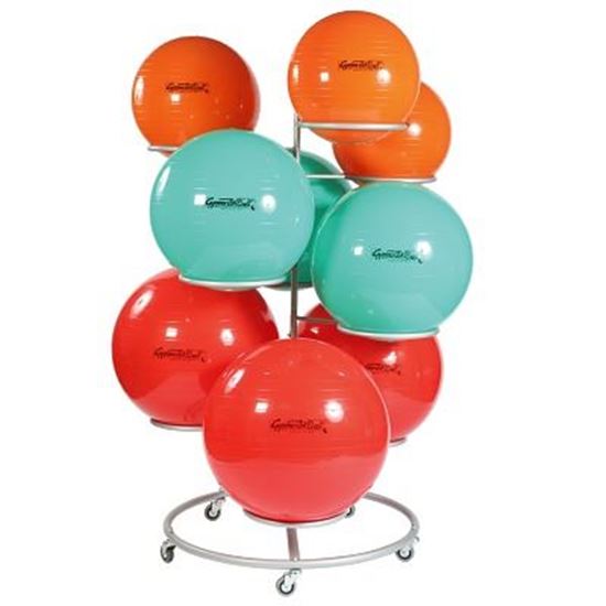 Image sur 991069929 Support roulant Sport-Thieme pour ballons de gymnastique