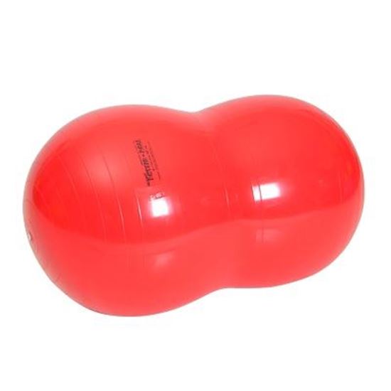 Image sur 991091700 Physio-Roll Gymnic