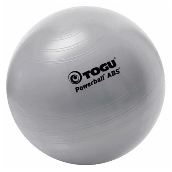 Image sur 991074547 Ballon ABS-Powerball Togu