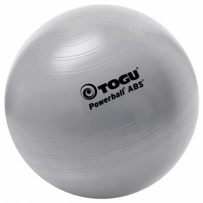 Image de 991074589 Ballon ABS-Powerball Togu