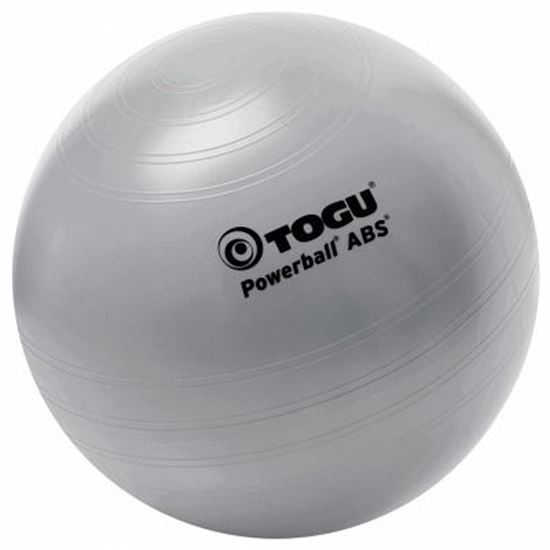 Image sur 991074589 Ballon ABS-Powerball Togu
