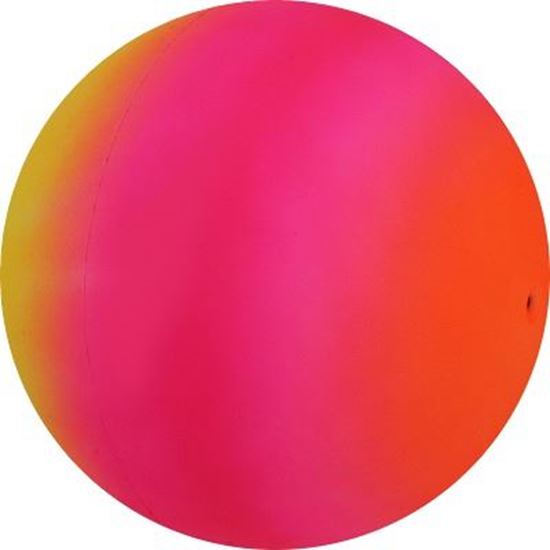 Image sur 991091205 Ballon arc-en-ciel fluo Sport-Thieme