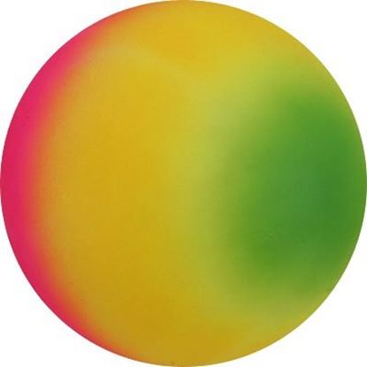 Image de 991091218 Ballon arc-en-ciel fluo Sport-Thieme