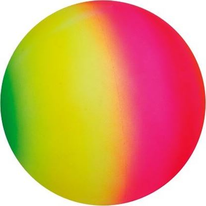 Image de 991091221 Ballon arc-en-ciel fluo Sport-Thieme