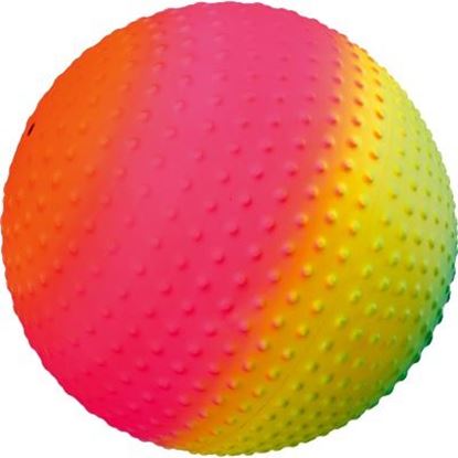 Image de 991094347 Ballon arc-en-ciel Togu « Sunrise »