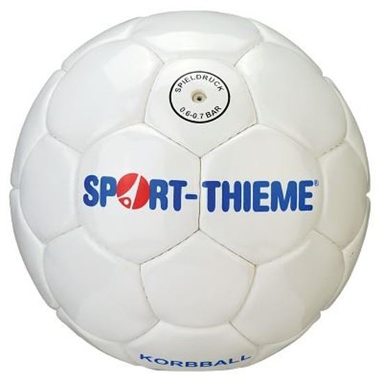 Image sur 991079601 Ballon de balle à la corbeille