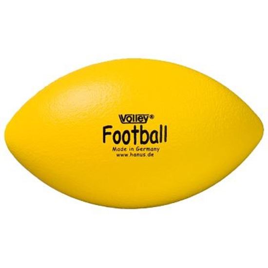 Image sur 991072701 Ballon de football américain Volley Elef'