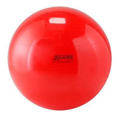 Image de 991095513 Ballon de gymnastique Gymnic