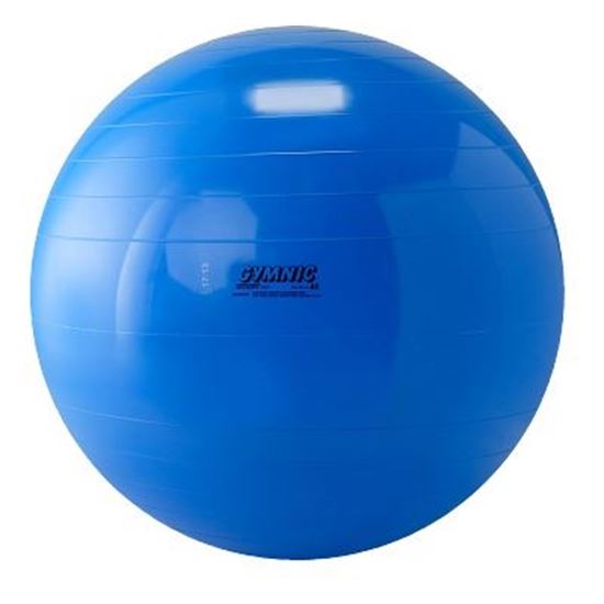 Image sur 991095526 Ballon de gymnastique Gymnic
