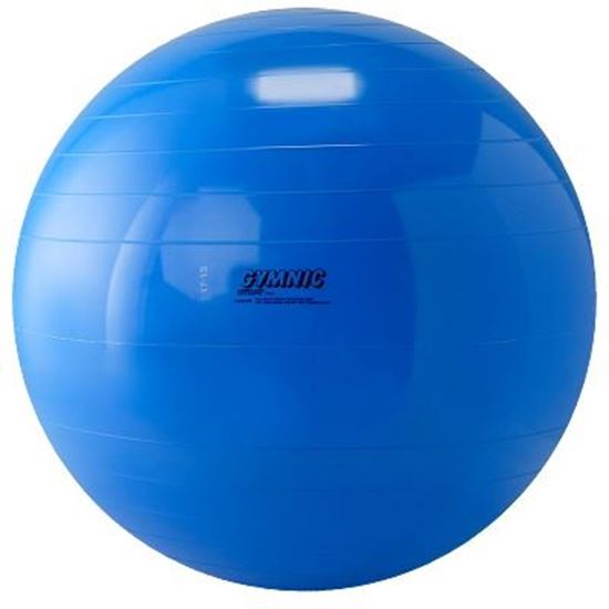 Image sur 991095539 Ballon de gymnastique Gymnic