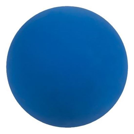 Image sur 991098600 Ballon de gymnastique WV en caoutchouc