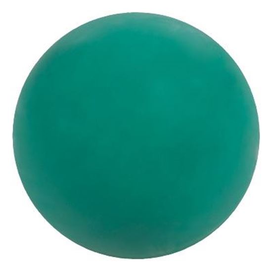 Image sur 991098626 Ballon de gymnastique WV en caoutchouc