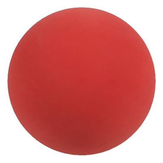 Image sur 991098639 Ballon de gymnastique WV en caoutchouc