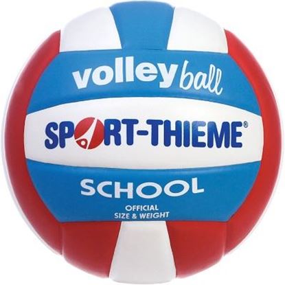 Image de 991082119 Ballon de volley Sport-Thieme « School »