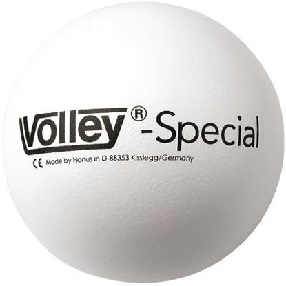 Image de 991082207 Ballon de volley Volley Special