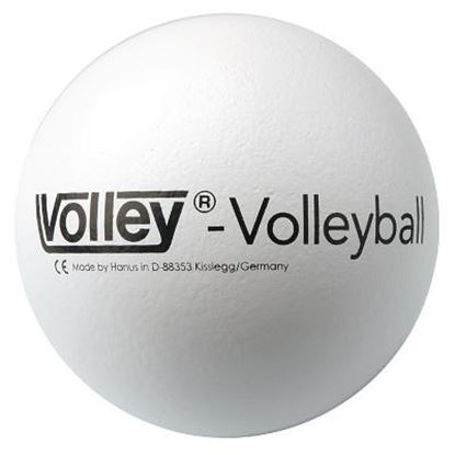 Image de 991071506 Ballon de volleyball Volley