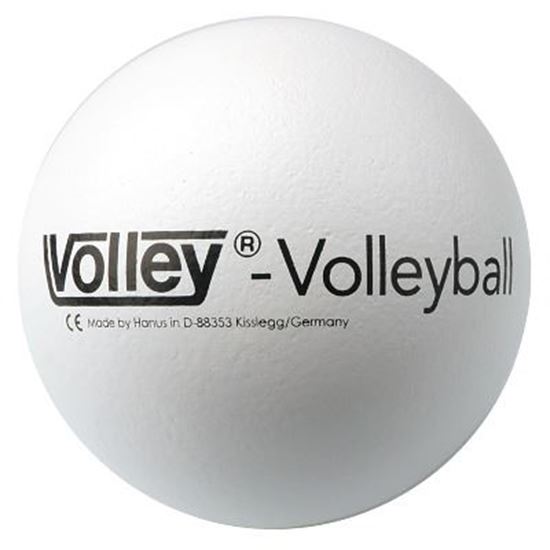 Image sur 991071506 Ballon de volleyball Volley