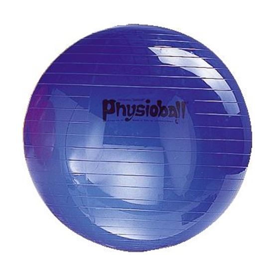 Image sur 991094741 Ballon Physioball original