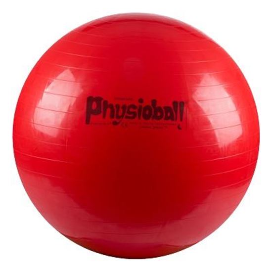 Image sur 991094754 Ballon Physioball original