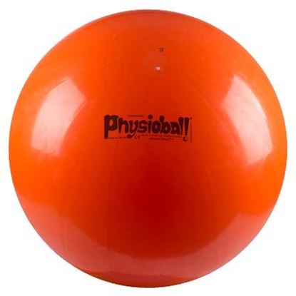 Image de 991094767 Ballon Physioball original