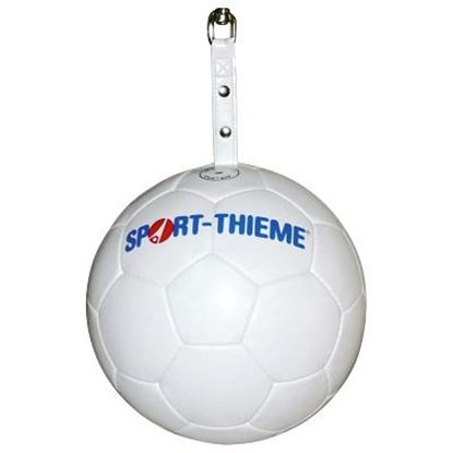 Image de 991078709 Ballon pour potence