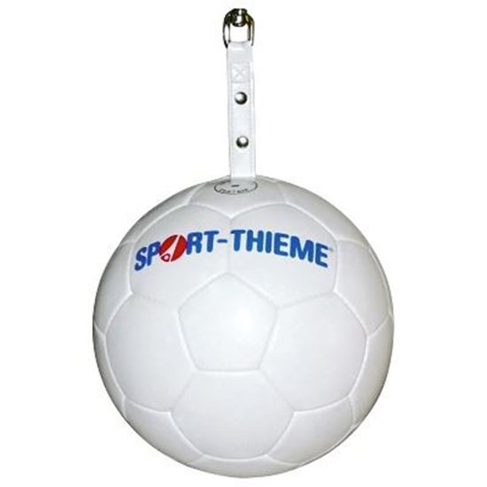 Image sur 991078709 Ballon pour potence